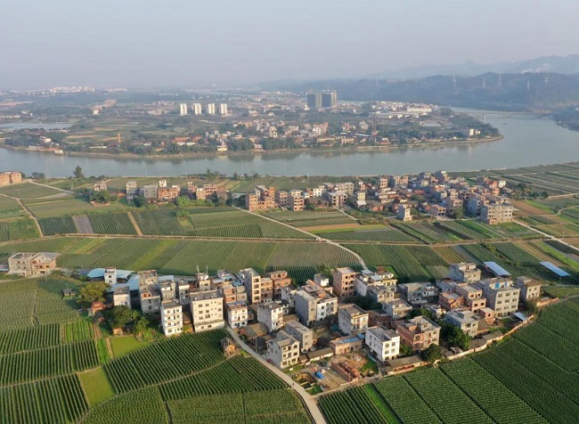 d72bffa3aff744fe99b7ea0b09e12dd2.jpg 51.jpg