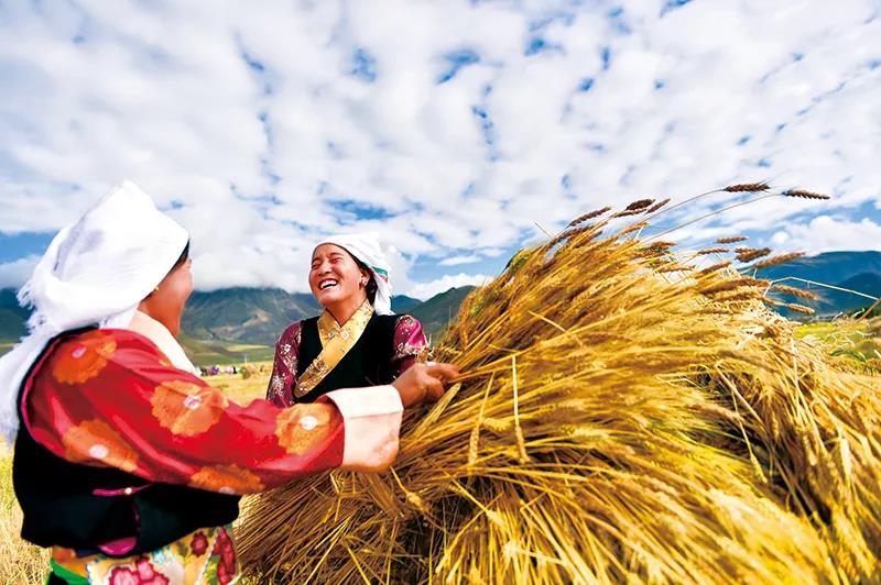 8396c2ed9994496eae6e8432cf563be2.jpg 11111111.jpg