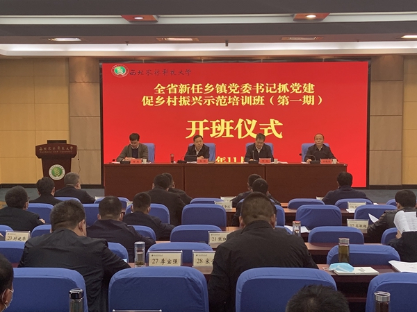 a785414bd5bc497a9ed65228935668fd.jpg IMG_8898_副本.jpg